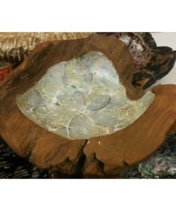 Wooden capiz bowl